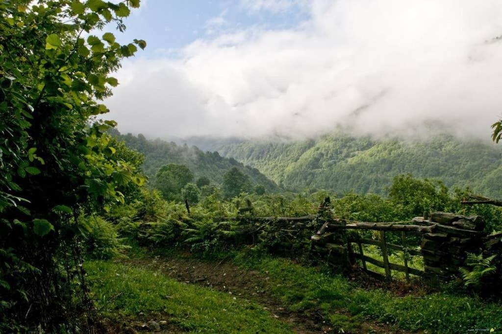 Appartamento Molinos - Atico En Montana De Asturias *