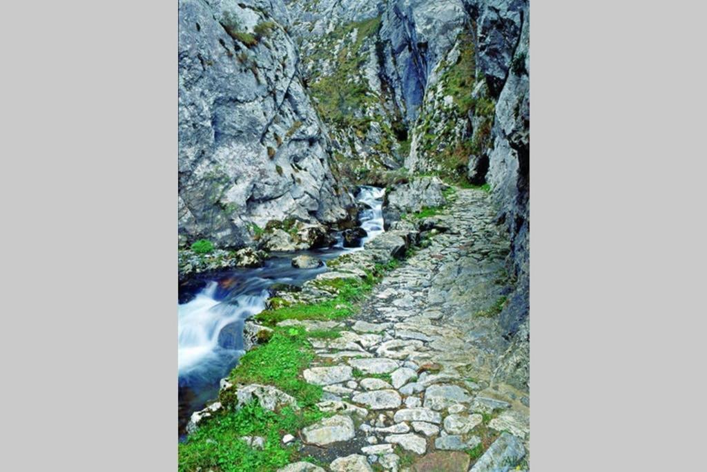 Apartment Molinos - Atico En Montana De Asturias Felechosa