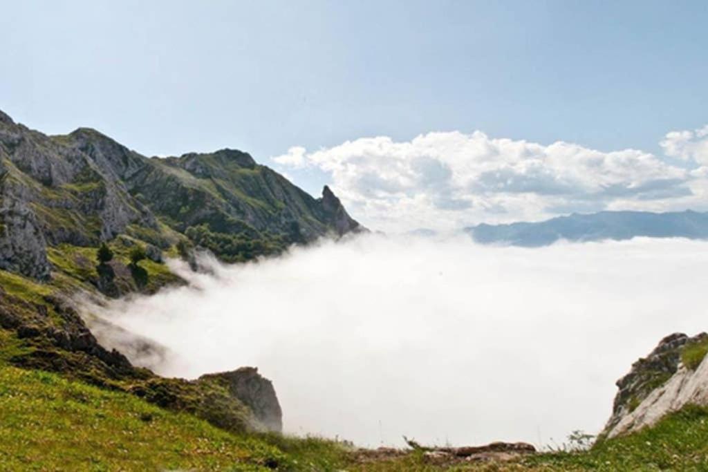Molinos - Atico En Montana De Asturias * Felechosa